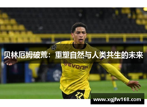 贝林厄姆破荒：重塑自然与人类共生的未来